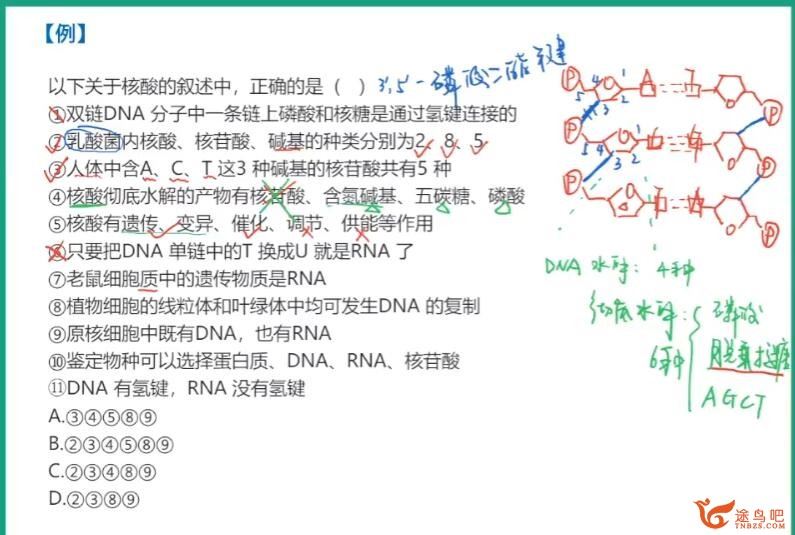周云 2023寒 高一生物寒假尖端班 更新四讲 百度网盘分享
