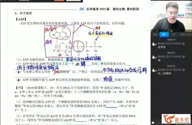 任春磊2023高考生物一至五阶段复习联报 四阶段 百度网盘下载