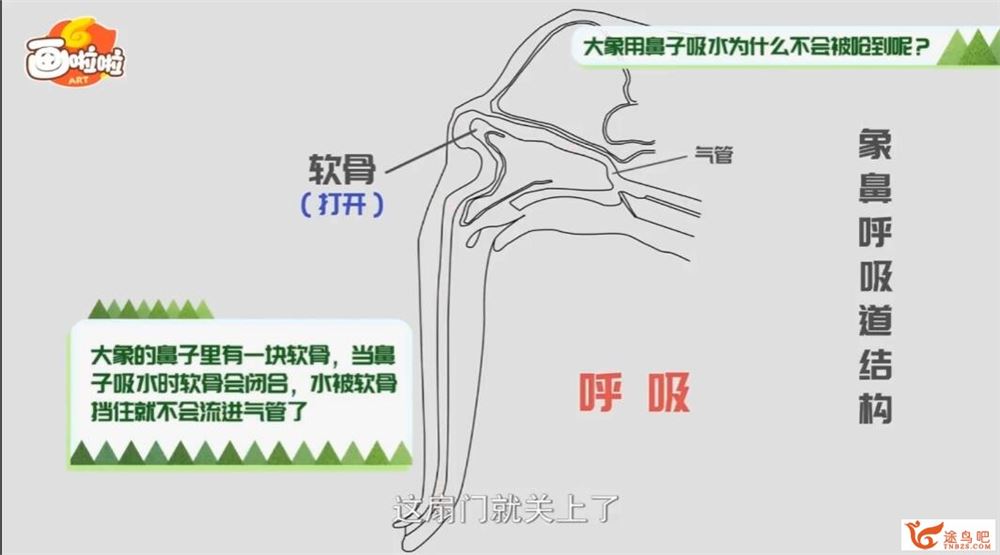 小灯塔奇趣生物大百科10讲完整 百度网盘分享
