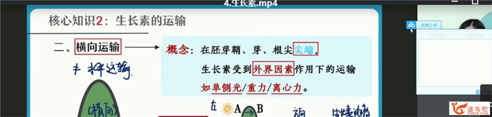 杨雪 2021暑假 高二生物暑假尖端班（更新中）课程视频百度云下载