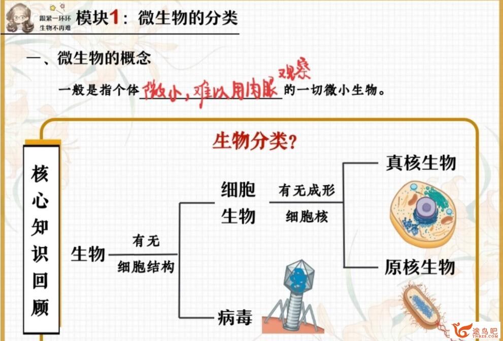 谢一凡2023春高二生物春季尖端班  百度网盘下载