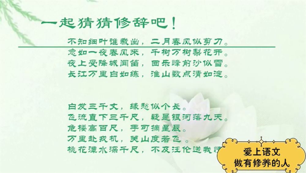 诸葛学堂 小学四年级大语文精选录播 全年113讲完结