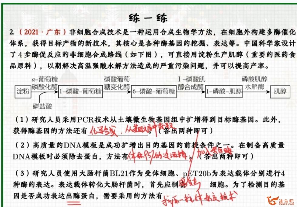 邓康尧2023年高考生物A班二轮复习寒春联报 寒假班 百度网盘下载