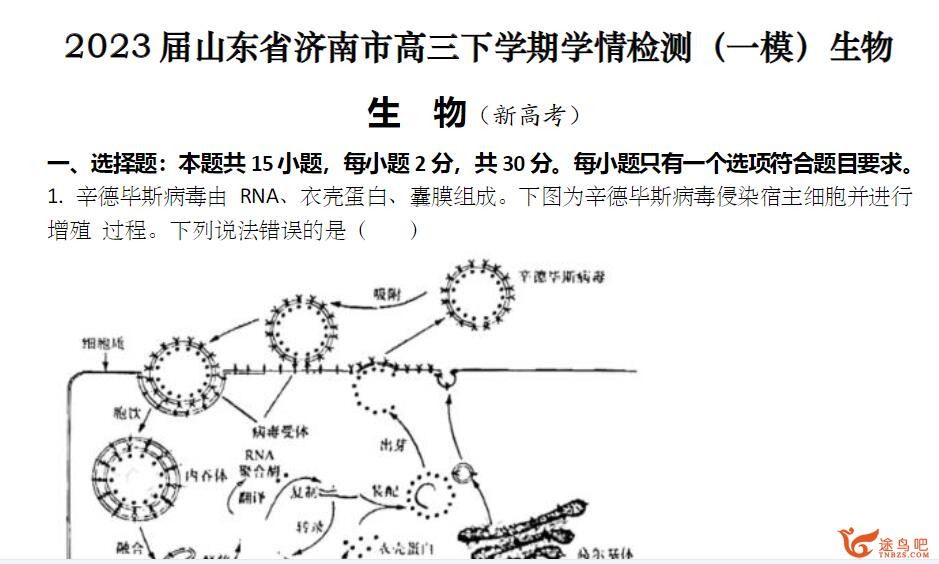李林2023年高考生物三轮复习联报 百度网盘分享