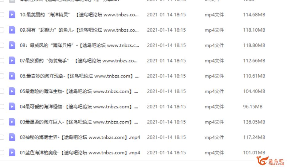 给孩子的第一堂海洋课-海洋世界总动员【完结】视频课程百度云下载