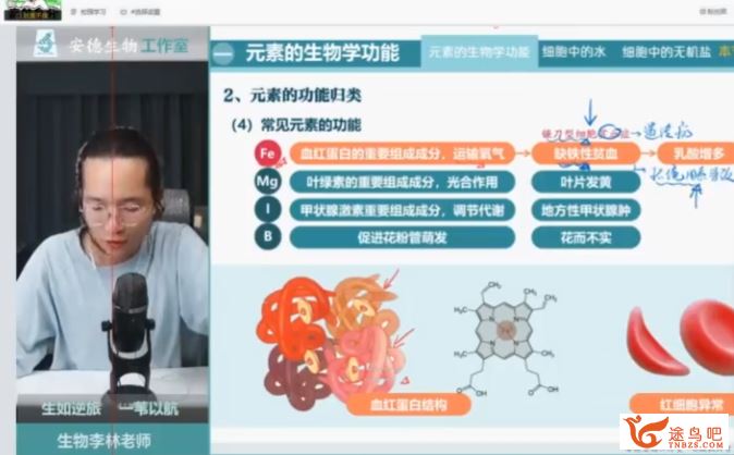 李林2024年高考生物一轮暑秋联报秋季直播班 李林高考生物百度网盘下载
