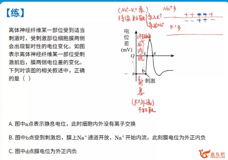 周云2023高二生物秋季尖端班持续更新 周云高二生物百度网盘下载