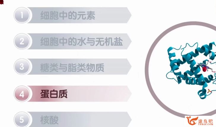 张鹏2024年高考生物全程班一轮暑秋联报暑假班 百度网盘分享