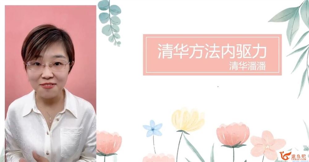 清华潘潘 清华方法内驱力 36讲 百度网盘分享