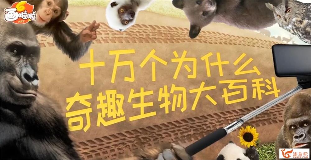 小灯塔奇趣生物大百科10讲完整 百度网盘分享